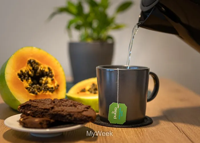 Sloneczna Polana, Myweek 쿠도바-즈루이